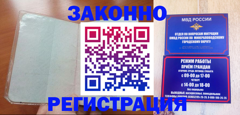 прописка гарантия в Мончегорске